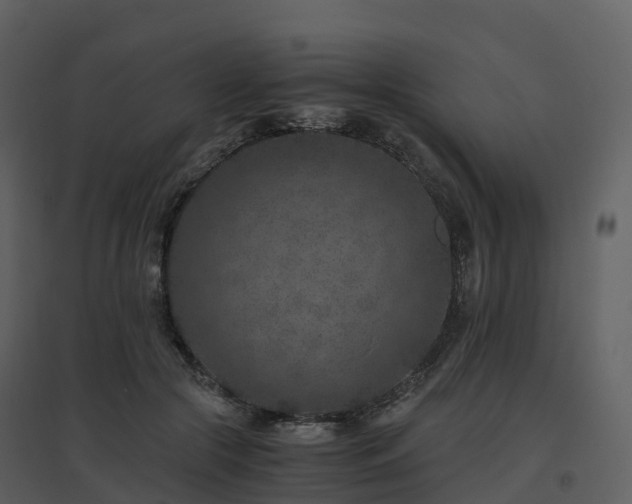 X0000096640553200802121112