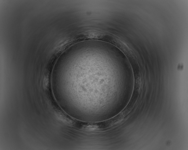 X0000096640554200802121112