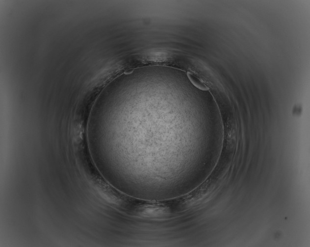 X0000096640555200802121112