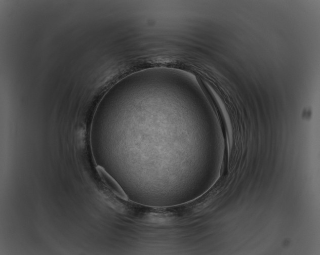 X0000096640556200802121112