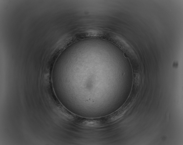 X0000096640557200802121112