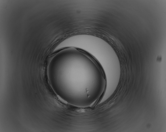X0000096640558200802121112