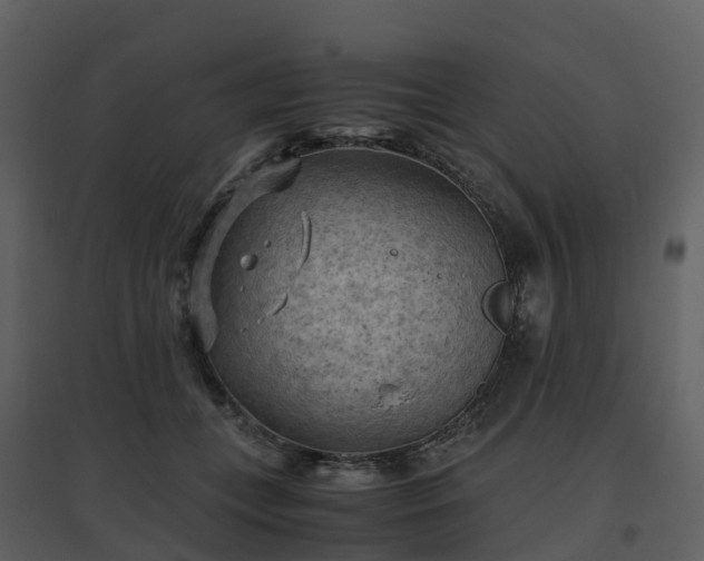X0000096640559200802121112