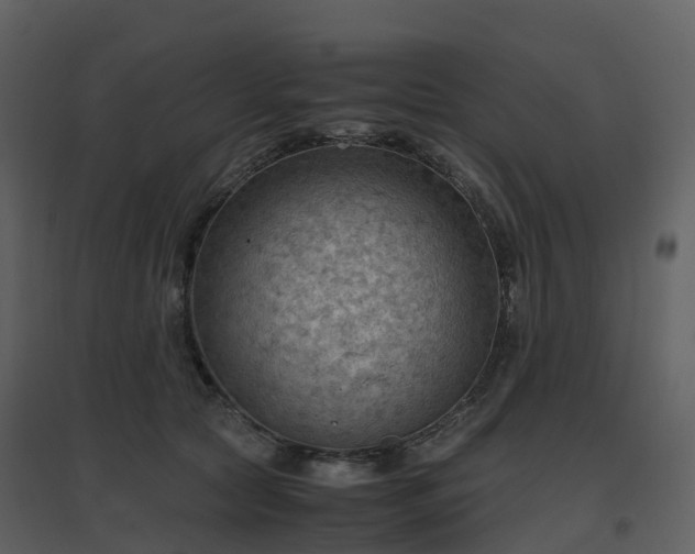 X0000096640561200802121112