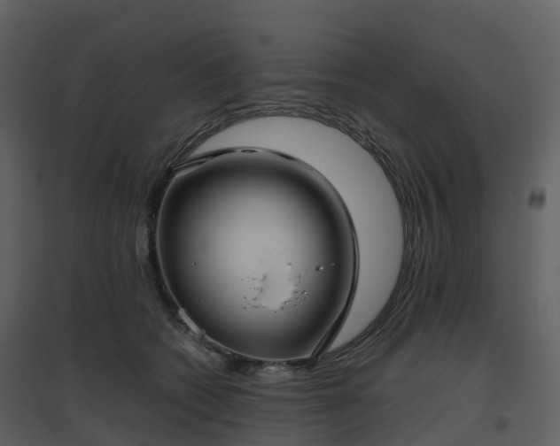X0000096640562200802121112