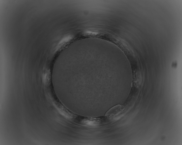X0000096640563200802121112