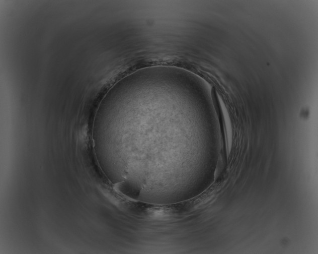 X0000096640564200802121112