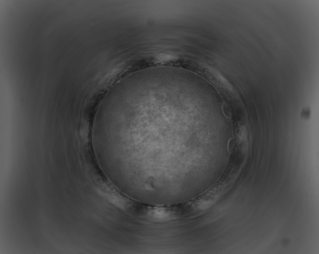X0000096640565200802121112