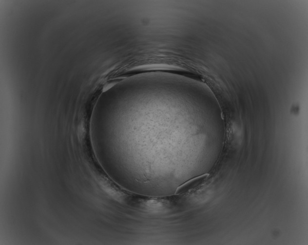 X0000096640566200802121113