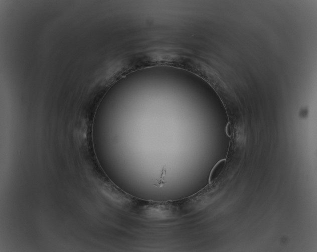 X0000096640567200802121113