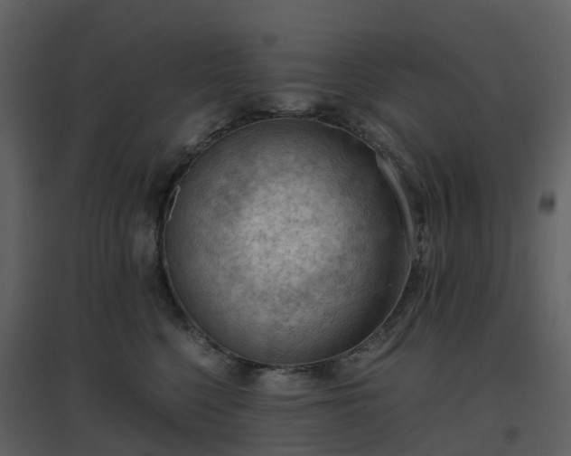 X0000096640568200802121113
