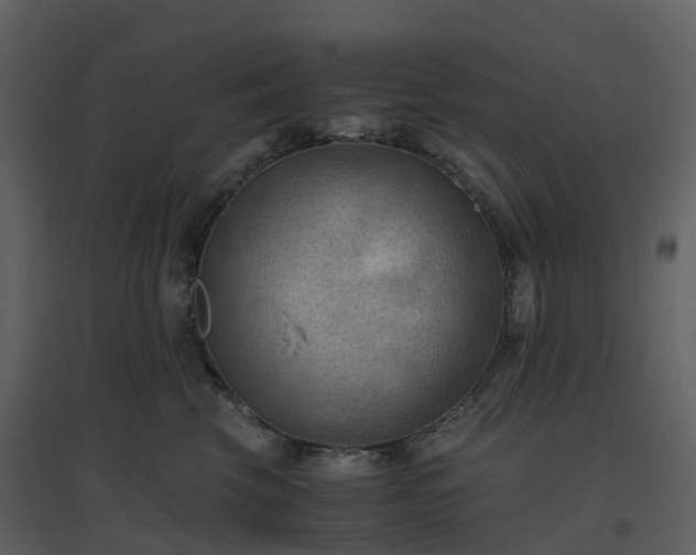 X0000096640569200802121113