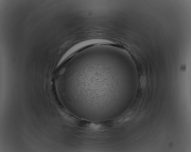 X0000096640570200802121113