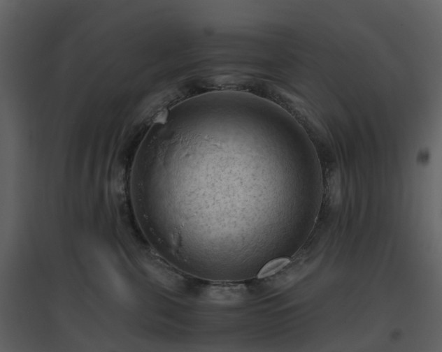 X0000096640571200802121113