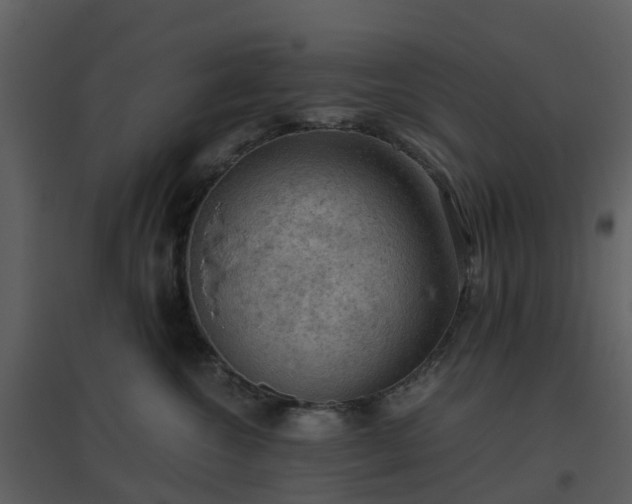 X0000096640572200802121113