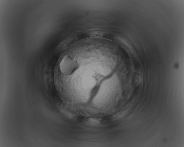 X0000096640573200802121113