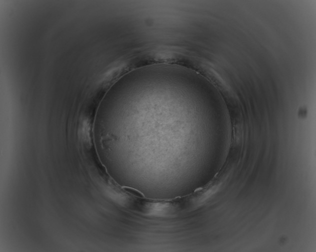 X0000096640575200802121113