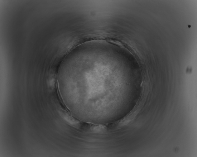 X0000096640576200802121113