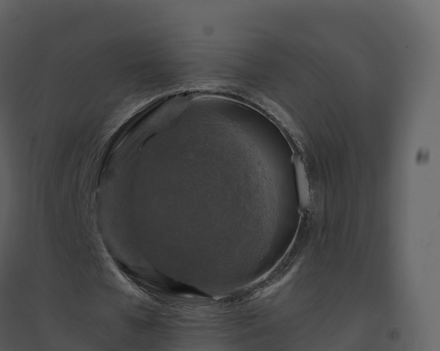 X0000096640577200802121112