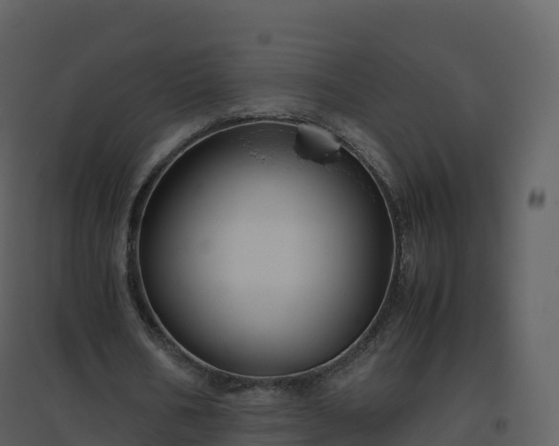 X0000096640578200802121112