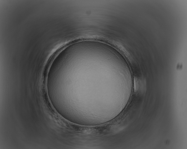 X0000096640579200802121112