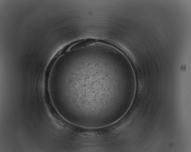 X0000096640580200802121112