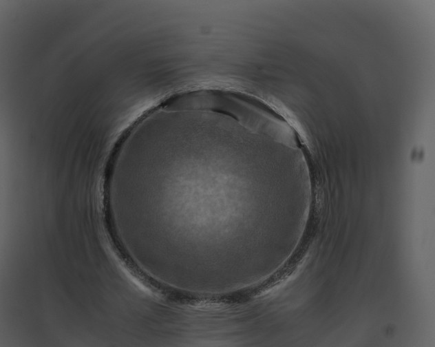 X0000096640581200802121112
