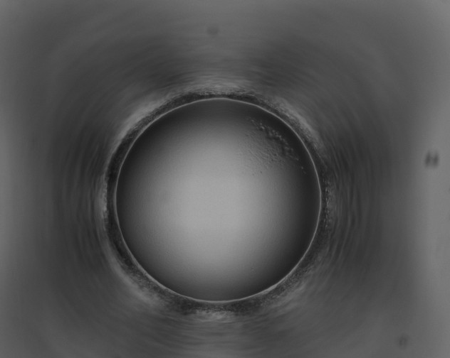 X0000096640582200802121112