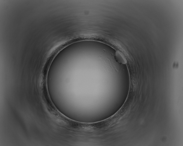 X0000096640583200802121112