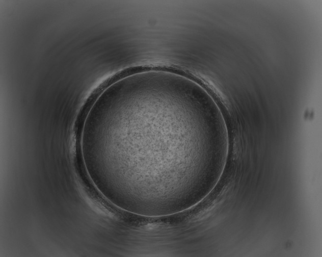 X0000096640584200802121112