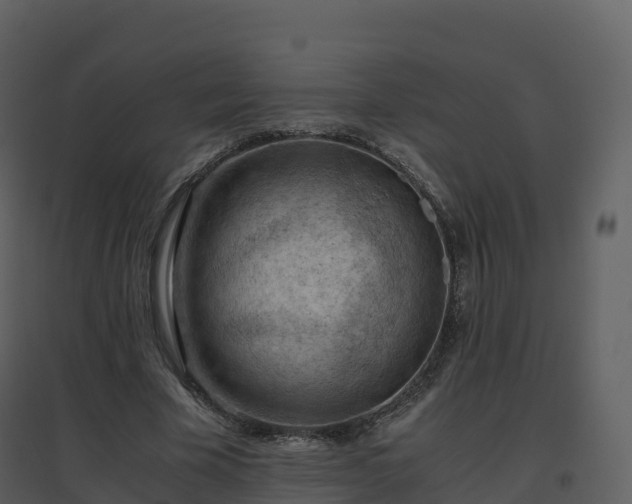 X0000096640585200802121112