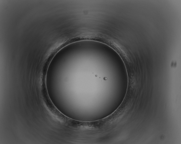 X0000096640586200802121112
