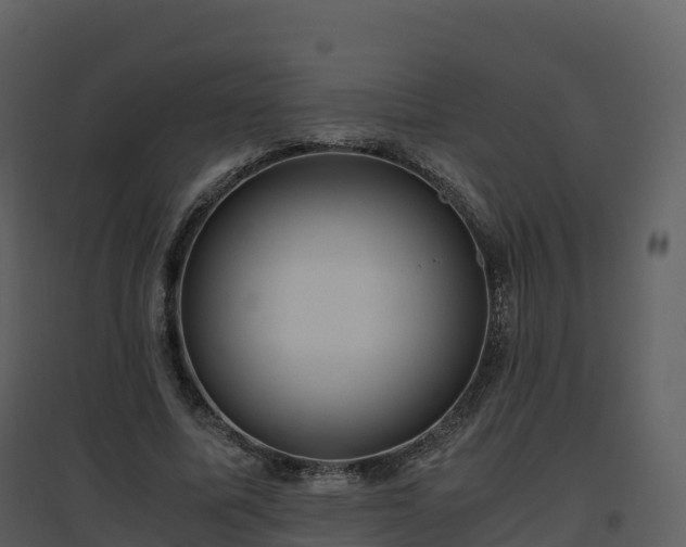 X0000096640587200802121112