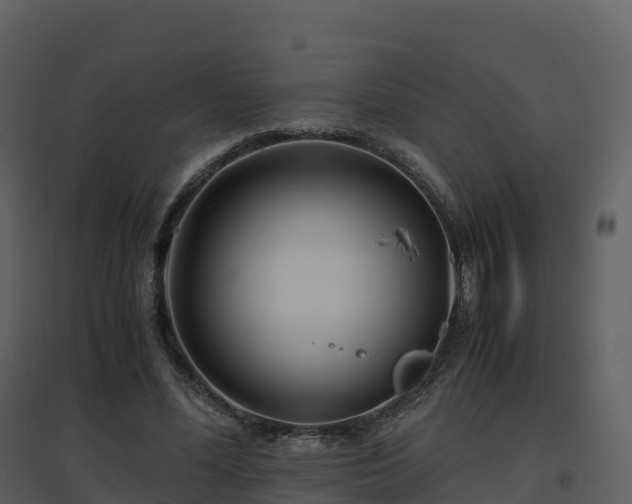 X0000096640588200802121112
