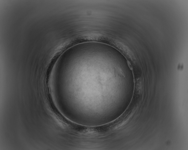 X0000096640589200802121112