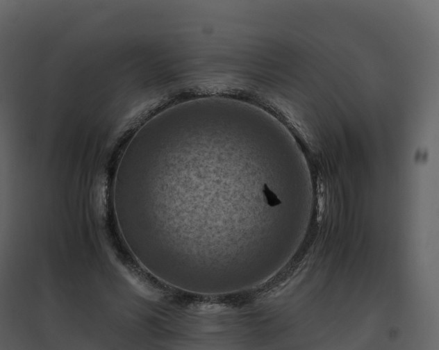 X0000096640590200802121112