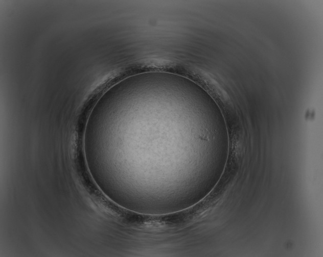 X0000096640591200802121112