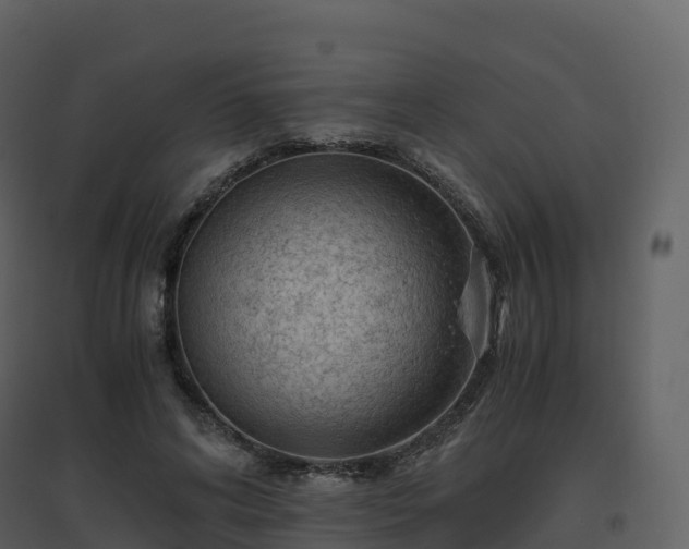 X0000096640592200802121112