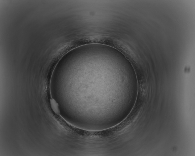 X0000096640593200802121112