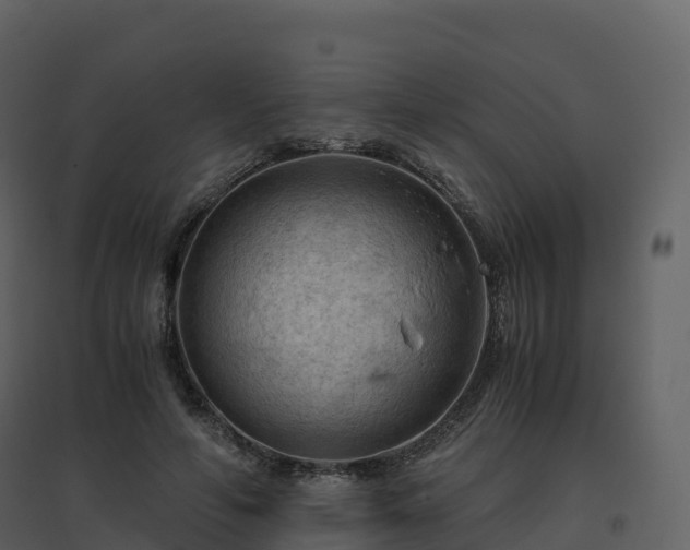 X0000096640594200802121112
