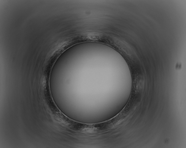 X0000096640595200802121112