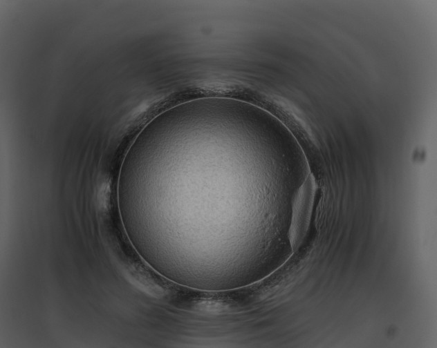 X0000096640596200802121112