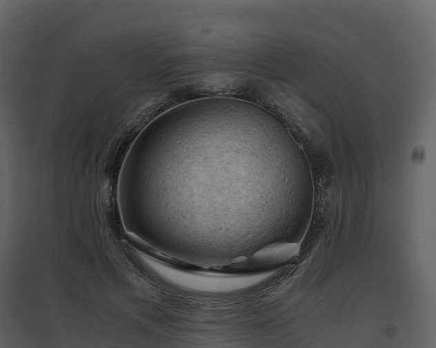 X0000096640597200802121112