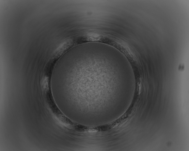 X0000096640598200802121112