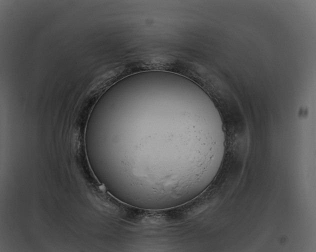 X0000096640599200802121112