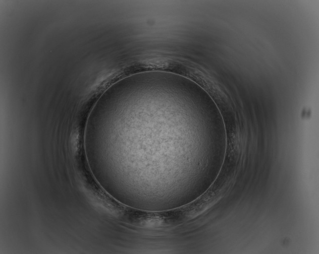 X0000096640600200802121112