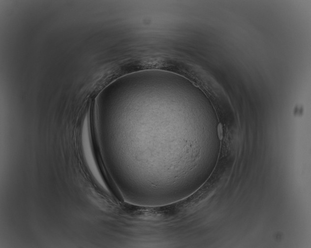 X0000096640601200802121112