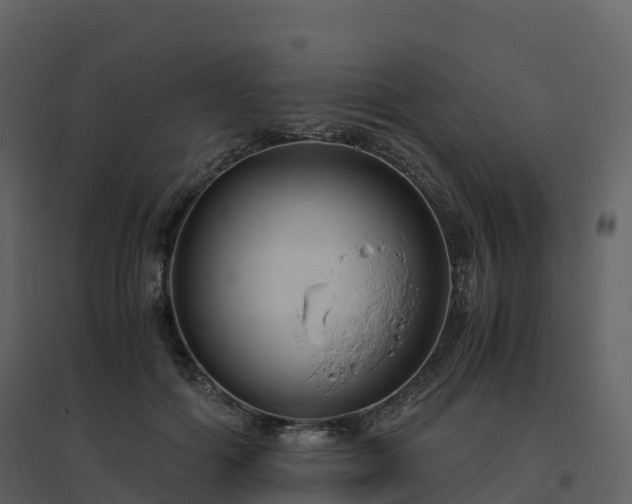 X0000096640602200802121112