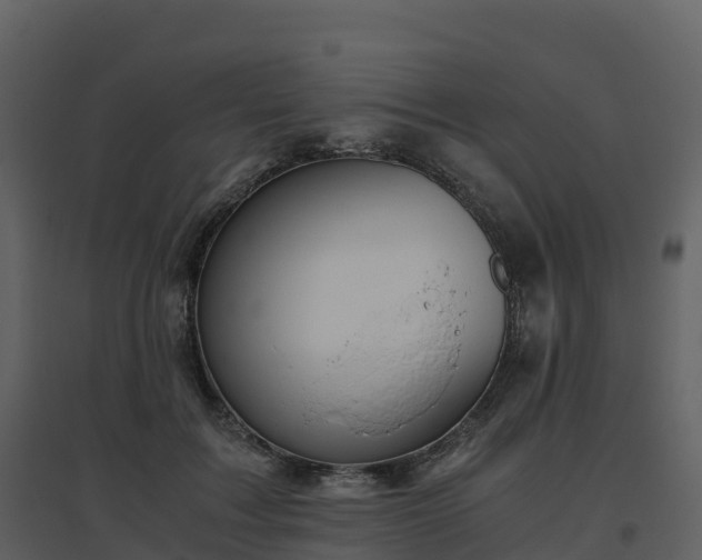 X0000096640603200802121112