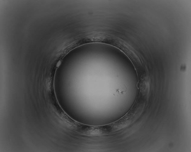X0000096640604200802121112